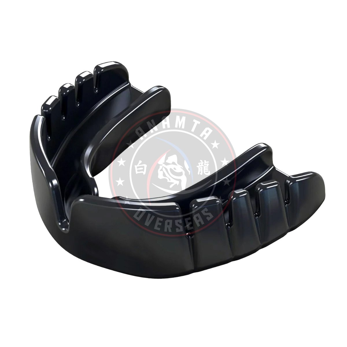 Boxing Gum Shield