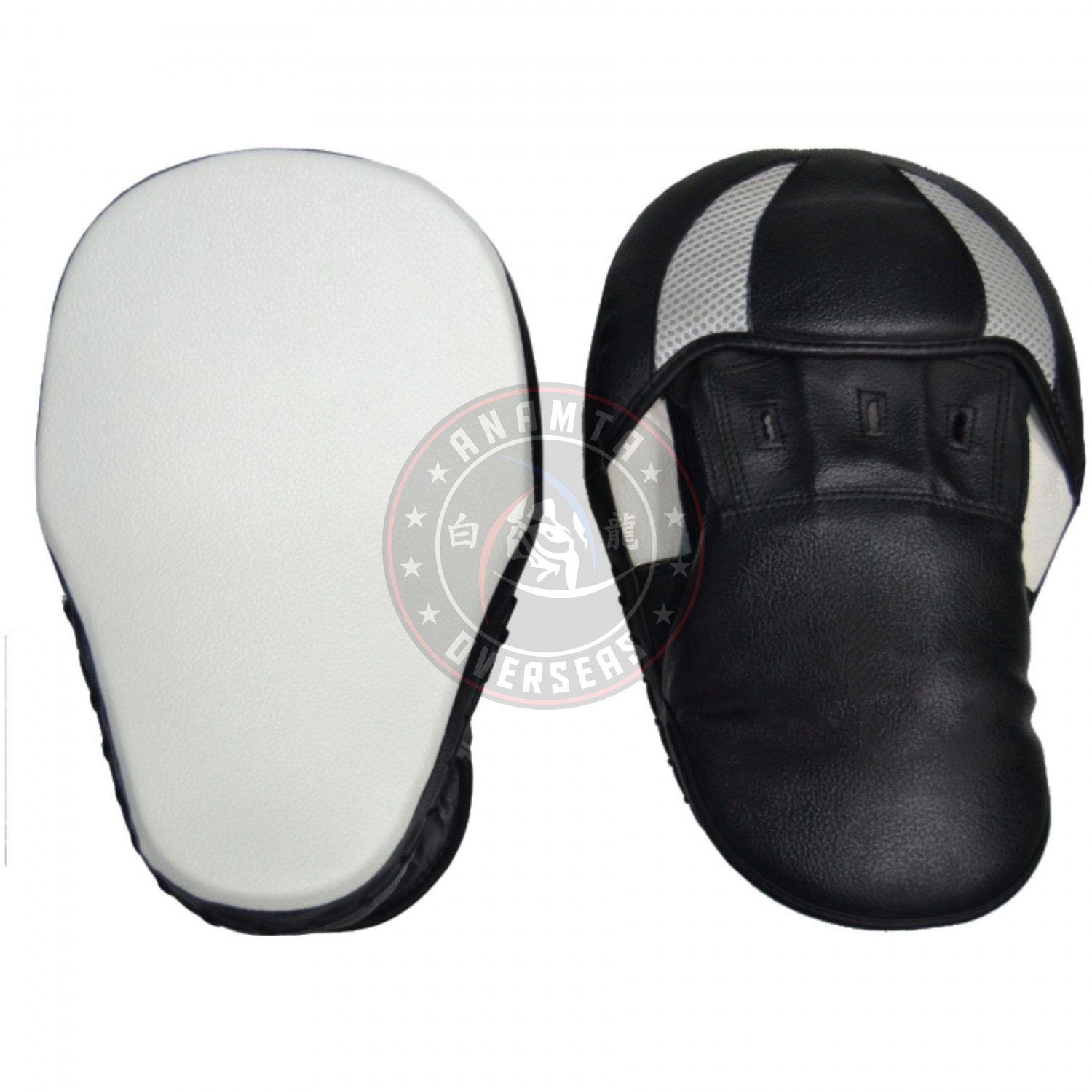 Boxing Focus Pad