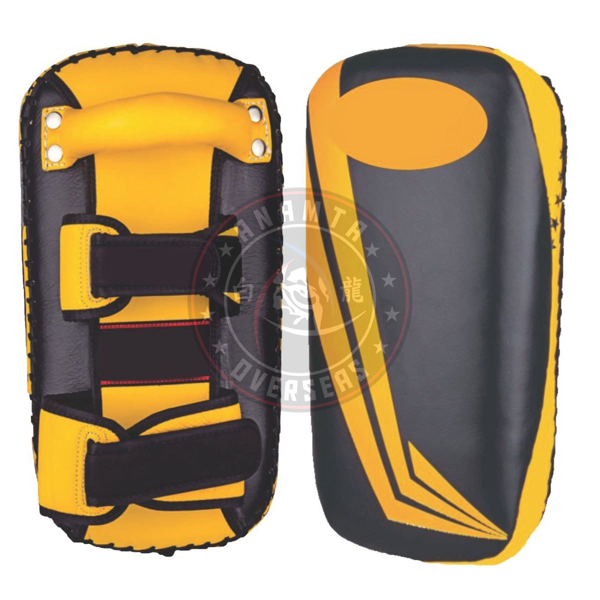Boxing Thai Pad